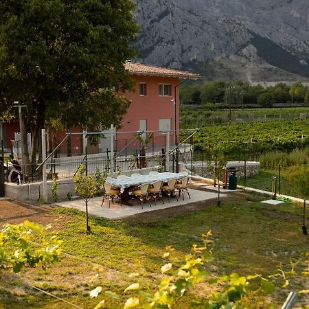 Holiday Apartments Giulia - Gold Пиетрамурата Екстериор снимка