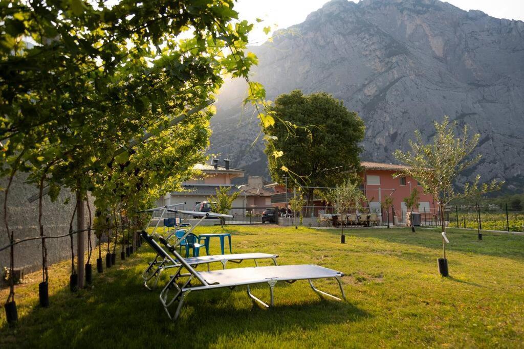 Holiday Apartments Giulia - Gold Пиетрамурата Екстериор снимка